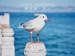 -抚仙湖禄充风景区