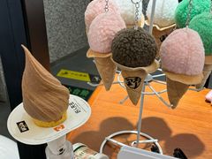 -野人先生Gelato(上海长宁龙之梦店)