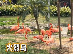 -无锡动物园·太湖欢乐园