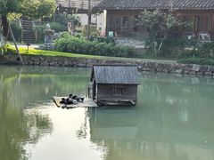 -乌村
