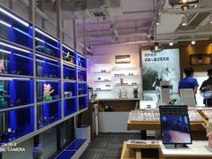-鲸渝眼镜·浅目视光(春熙路店)