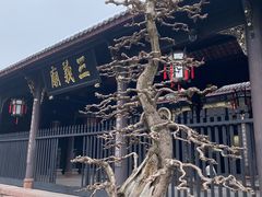 -成都武侯祠博物馆