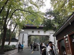 -茶颜悦色(岳麓山顶店)