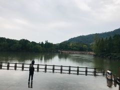 -中华孝德园