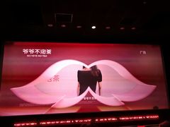 -首都电影院(金融街店 杜比全景声)