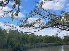 -九科绿洲