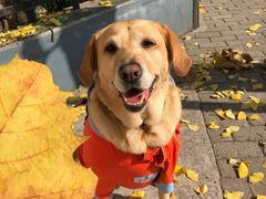 -PETKIT小佩宠物(古北店)