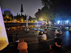 -成都市活水公园