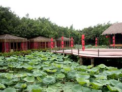 -茂德公草堂