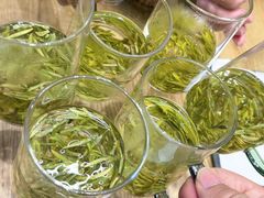 -阿巧茶庄