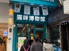 -猫咪博物馆(顶澳仔猫街店)