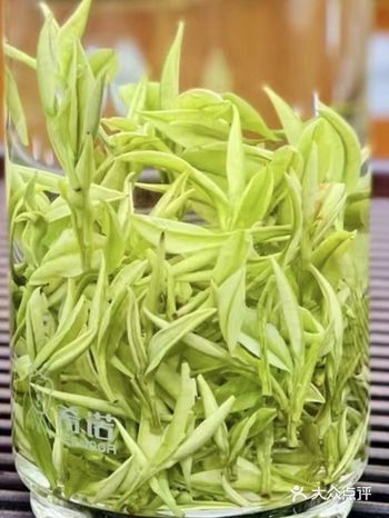 茶叶店的一天｜正常营业篇之凤形安吉白茶