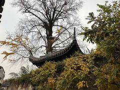 -惠山古镇·寄畅园