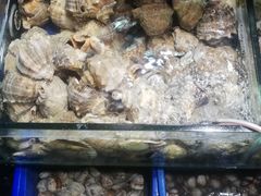 水产区-香满居张记小厨私房菜(青岛站店)