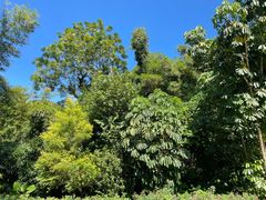 -人民公园(罗湖区)