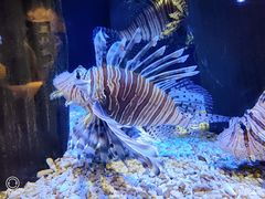 -成都浩海立方海洋公园