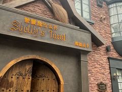 -雪灵魔法世界SHELLY’S TAROT(大良桂畔里店)