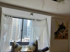 -Husky Go! 哈士奇体验馆·宠物咖啡厅狗咖