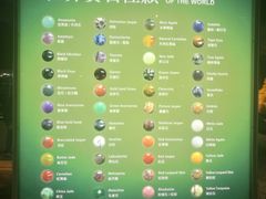 -绮丽珊瑚博物馆(台东店)