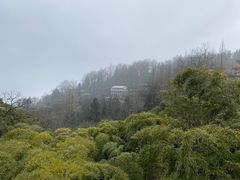 -莫干山风景区