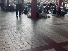 -九龙公园