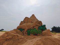 -日照海滨国家森林公园
