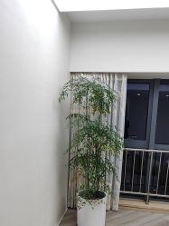 点击看大图 -HEYAN荷妍专业脱毛连锁机构