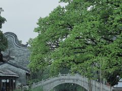 -东涌水乡风情街