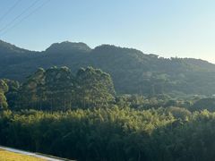 -广州市白云山风景名胜区