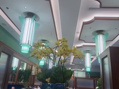 -蝶园·装修中(BFC外滩金融中心店)