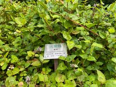 -广州神农草堂中医药博物馆