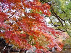 -青岛崂山太清宫