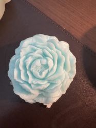 -圣贝拉母婴护理中心(深圳莱佛士店)