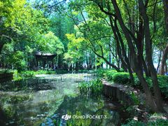 -东湖落雁景区