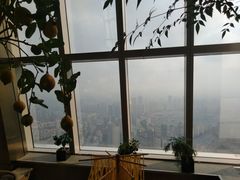 -上海柏悦酒店·世纪100牛排馆