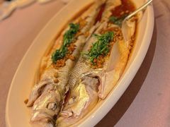 -香然会·园林雅宴(陆家嘴店)