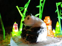 -长春公园(普阳街道)