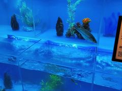 -怡咖啡·自助餐·西安香格里拉