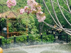 -太阳宫公园