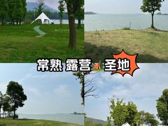 -尚湖风景区
