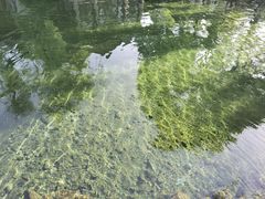 -趵突泉景区