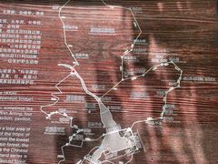 -云南屏边大围山国家公园