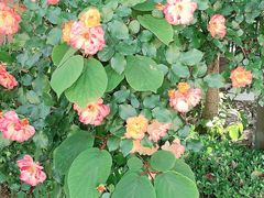 -东方童画少儿美术(金桥体验馆)