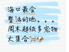 -友谊阳光城
