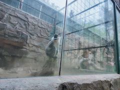 -泉州海丝野生动物世界