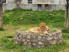 -西安秦岭野生动物园