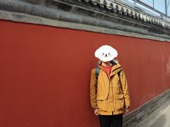 -北京国子监胡同