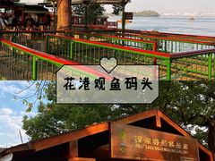 -西湖外事游船(花港观鱼码头)