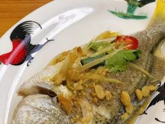 感动美味之鱼饭黄脚立-潮汕老菜脯海鲜粥(赤岗店)