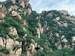 -大岭沟猕猴桃谷风景区